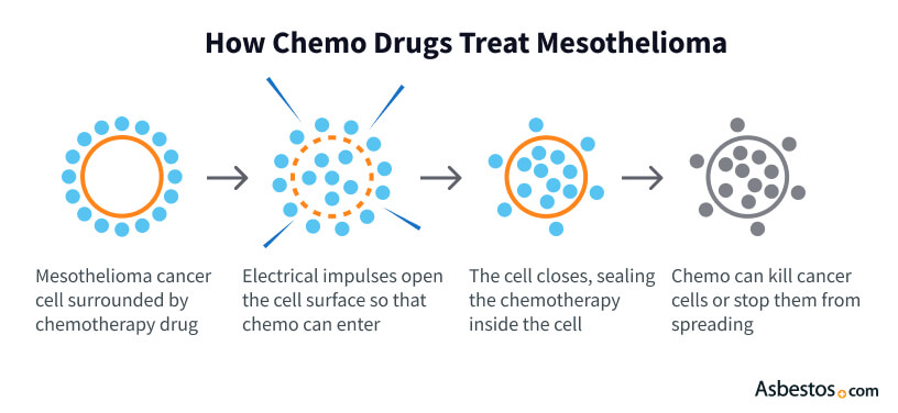 How chemotherapy drugs treat mesothelioma