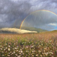 panorama of mountain meadows with rainbow