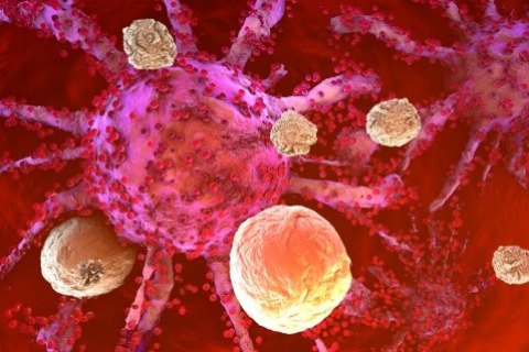 T cells attacking cancer cells in immunotherapy