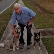 Kevin Hession walking his dogs