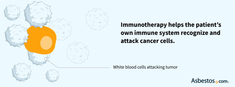Diagram showing white blood cells attacking a tumor because of help from immunotherapy drugs.