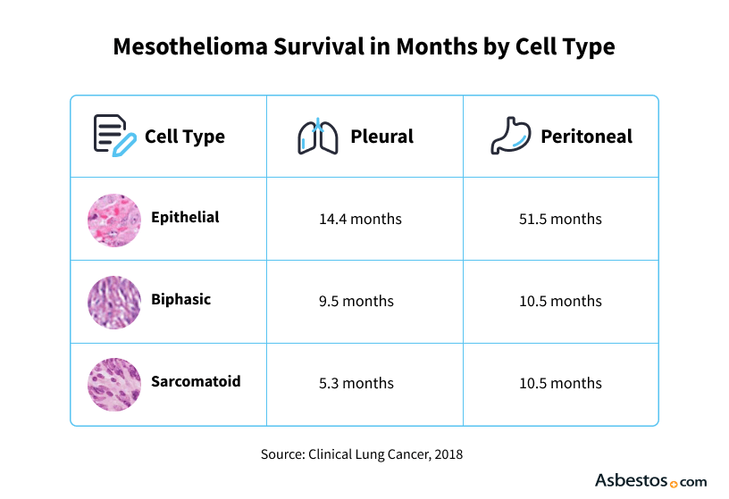 Mesothelioma survival rate in months by cell type.