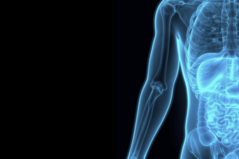 Graphic of an x-ray on the body